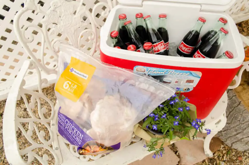 Ingredients for Southwestern Grilled Chicken Salad with bottled Coca-Cola - The Goldilocks Kitchen