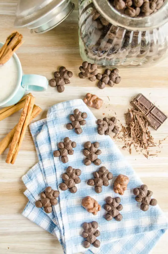 Chocolate Cinnamon Bear Cookies spread out on a blue and white cloth checkered napkin.