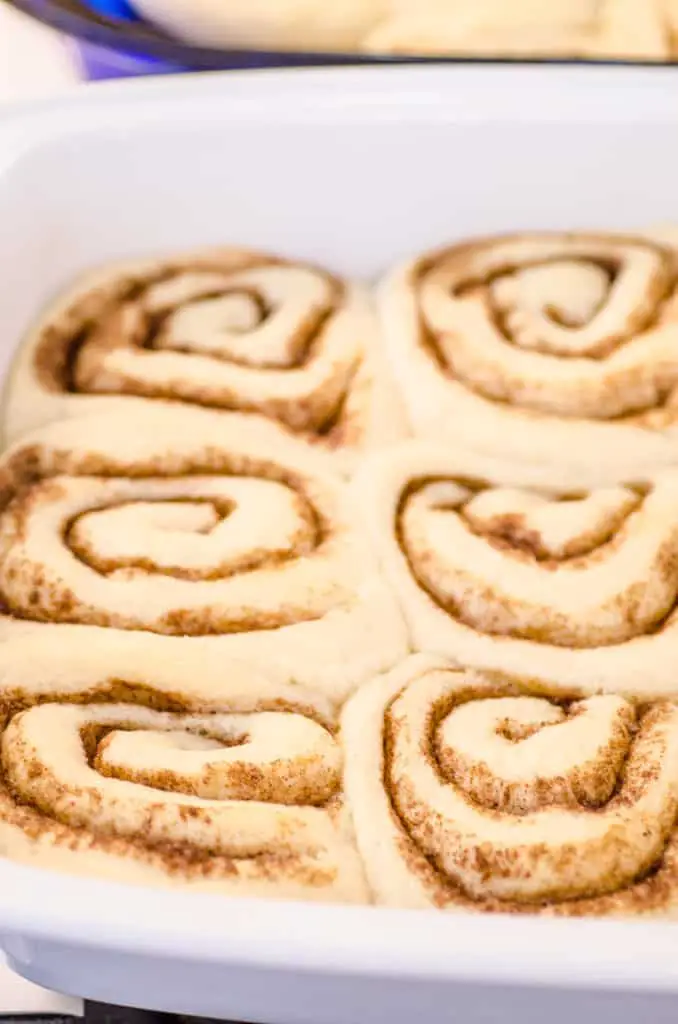 A close up of raw cinnamon rolls that have risen and are ready to be baked into Goldilocks Kitchen Cinnamon Rolls - The Goldilocks Kitchen
