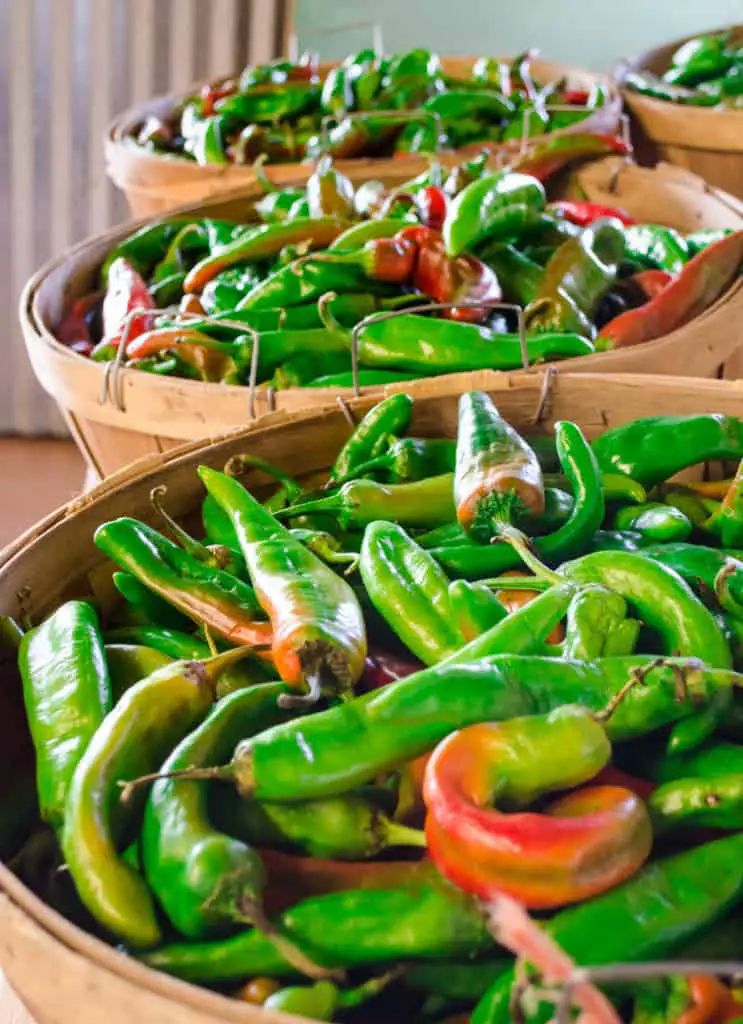 Wooden baskets at a farmer's market are filled with fresh New Mexico chiles; most of them are green, but a few are turning red.