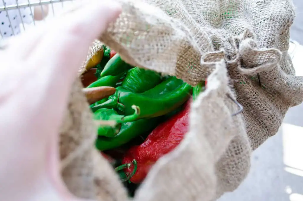 Looking down into an open burlap sack filled with fresh red and green Hatch chile peppers.