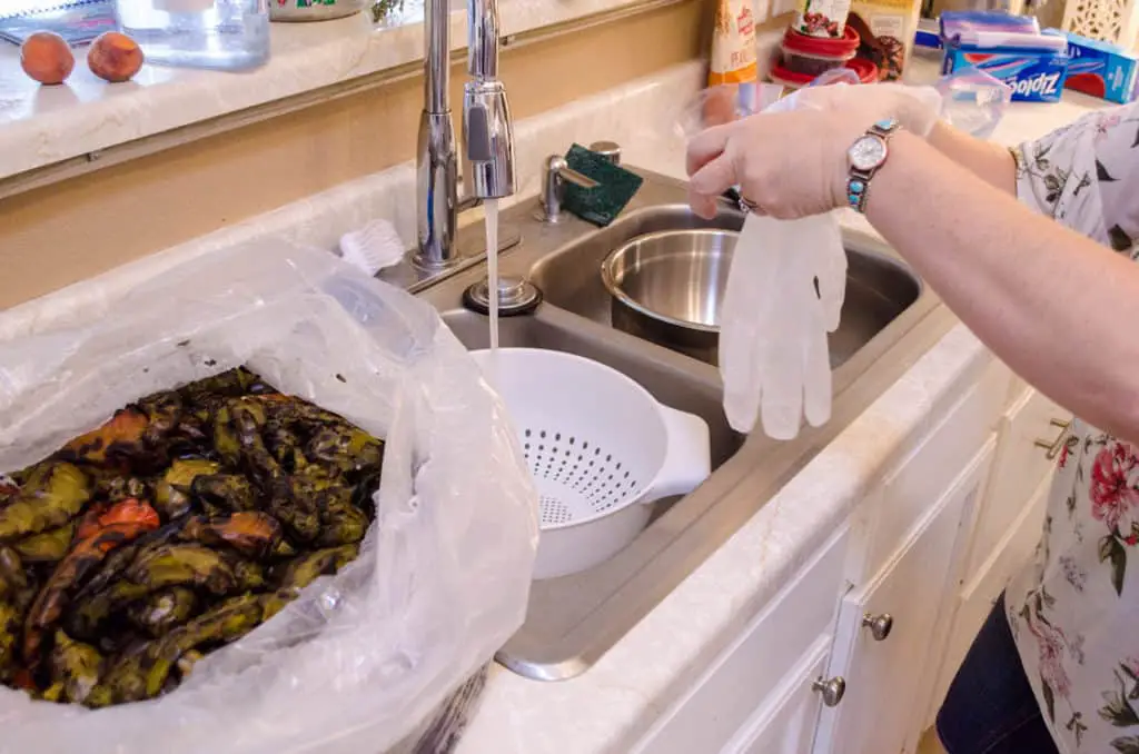Prep over a kitchen sink with gloves for New Mexico Green Chile Roasting 101