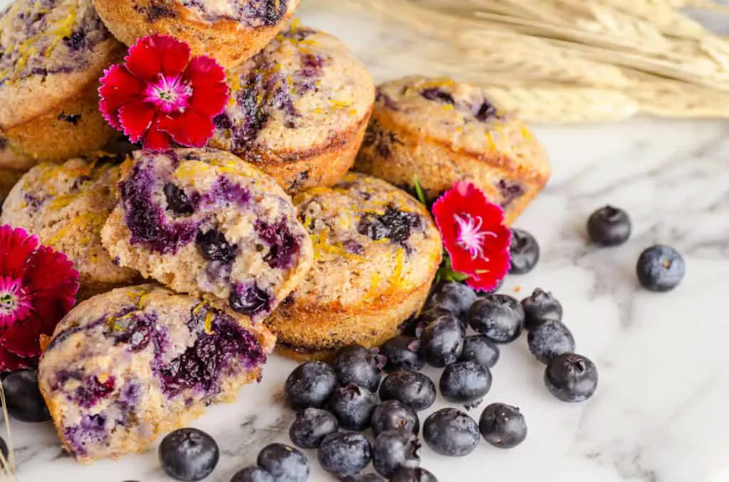 A close up of several Moist Whole Wheat Blueberry Swirl Muffins surrounded by fresh blueberries, wheat stalks and red flowers.