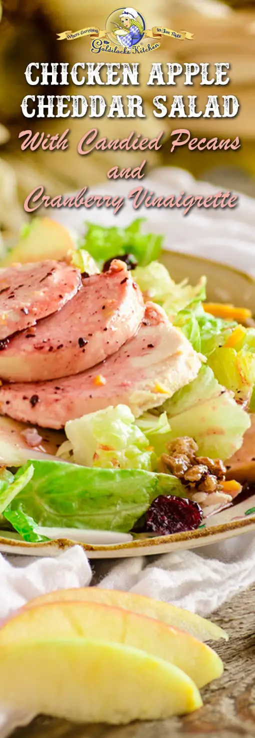 This Holiday Chicken Apple Cheddar Salad perfectly intermingles the bright flavors of apple and cranberry with sharp cheddar and candy spiced pecans for a delicious full-meal dinner salad. Leave the chicken out and you'll have the perfect holiday side salad.
