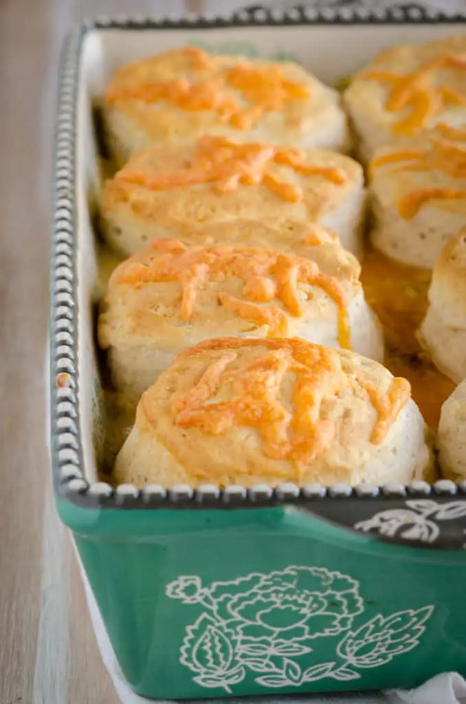 A casserole dish containing a Creamy Chicken Biscuit Bake with golden brown cheesy biscuits on top- The Goldilocks Kitchen
