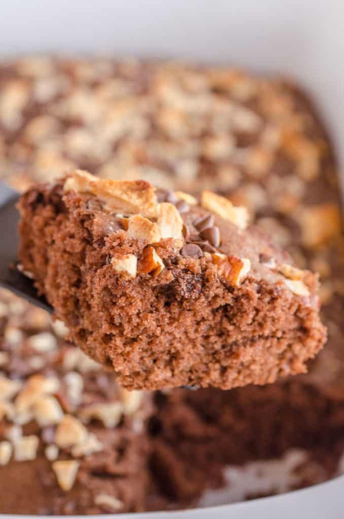 Closeup of a slice of Applesauce Picnic Cake - The Goldilocks Kitchen