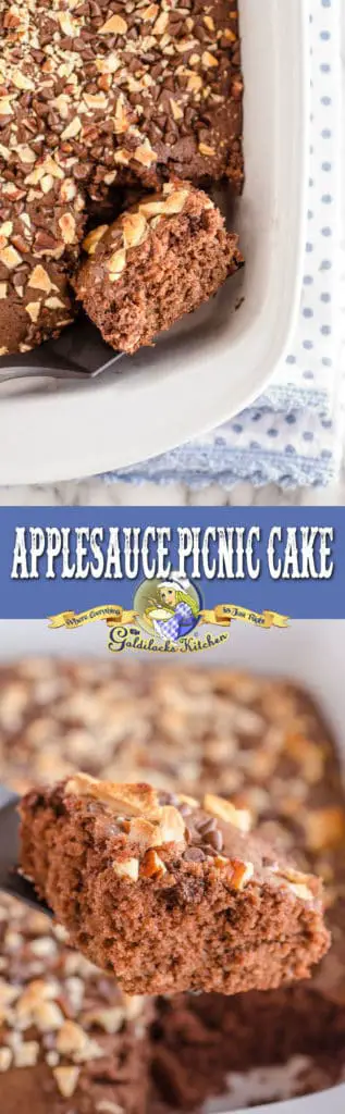 This light, sweet, and delicious Applesauce Picnic Cake is perfect for any sunny getaway, super easy to make, and also goes great with your favorite hot beverage.