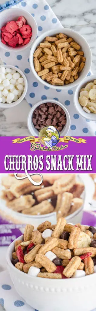 Churros Snack Mix is made with Cinnamon Toast Crunch Churros Cereal, dried fruit, mini-marshmallows and chocolate chips. A fun way to enjoy the delicious flavor of churros at home or take it as a snack wherever you go.