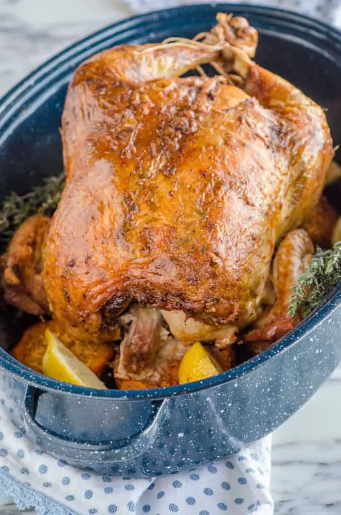 Whole Roasted Chicken and Sweet Potatoes in a speckled blue white enamel roasting pan - The Goldilocks Kitchen
