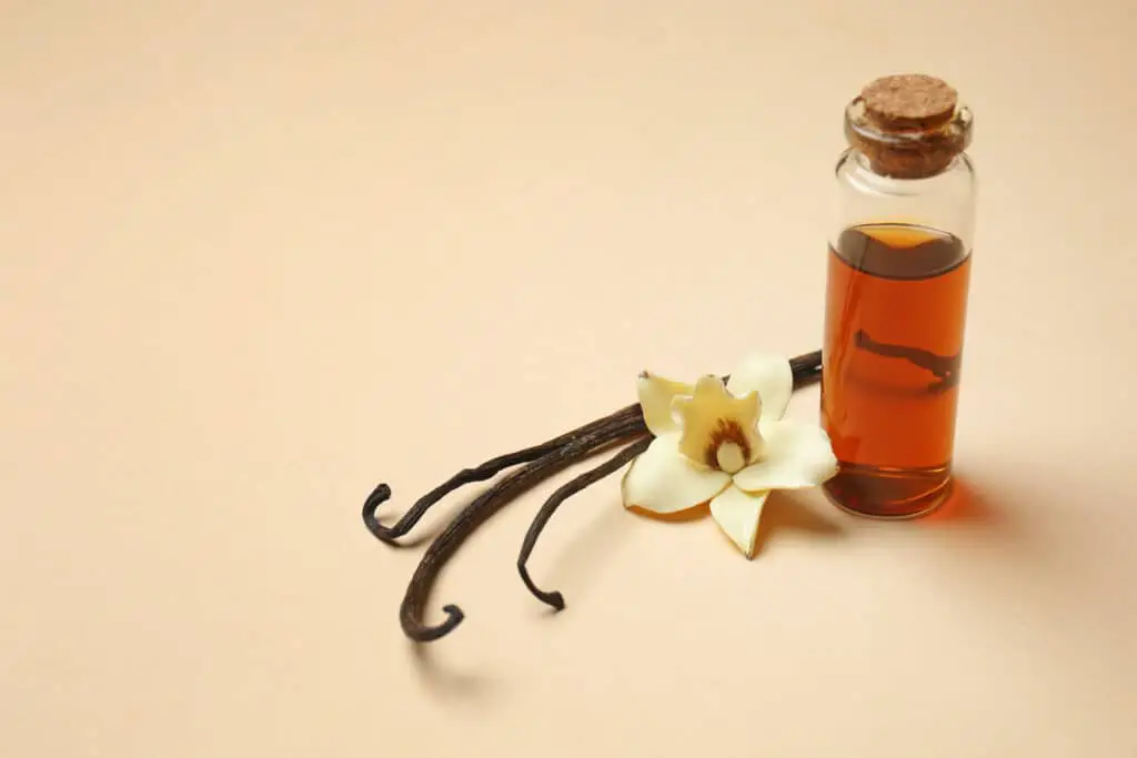Bottle of vanilla extract on color background