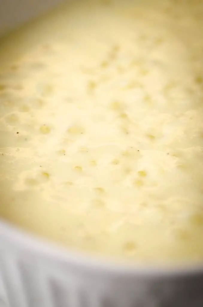 A closeup of tapioca pudding.