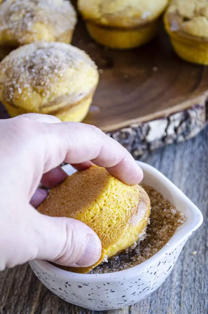 The tops of Snickerdoodle Pumpkin Muffins are pressed into a cinnamon sugar mixture.