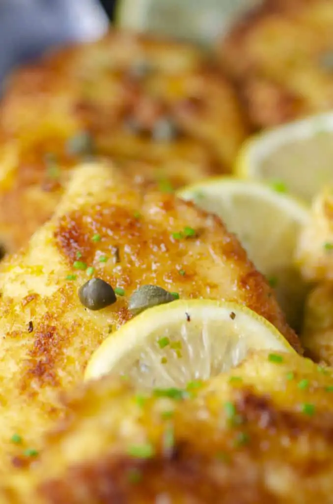 An extreme closeup of Sweet Lemon Chicken Piccata with a slice of lemon and a few green capers sprinkled on top.