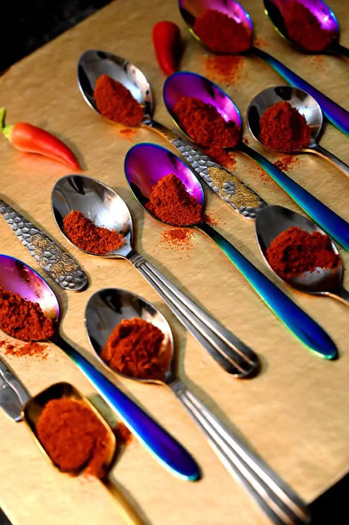 Several spoons all paralell to each other are filled with varieties of red chile powder. A small red chile pepper is nestled in between.