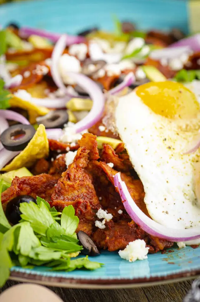 A closeup of a serving of chilaquiles with a fried egg and many garnishes.