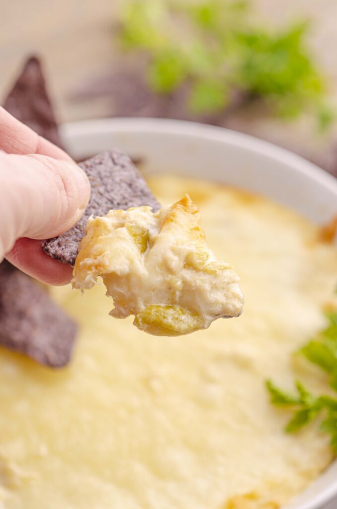 A closeup of a large scoop of Skinny Hatch Green Chile Chicken dip on a blue corn tortilla chip.