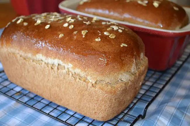 The Best Whole Wheat Bread