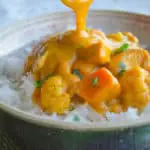Coconut Pumpkin Curry Sauce