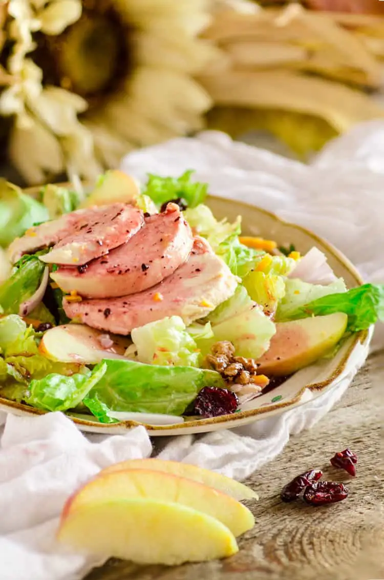 Chicken Apple Cheddar salad with Candied Pecans
